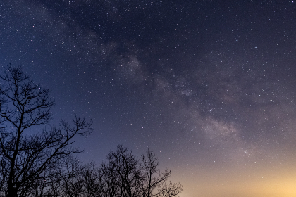 少女日记 在线观看