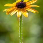 少女的诱惑 f7ojs8k