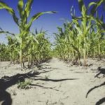 深夜影院 pm7962wov